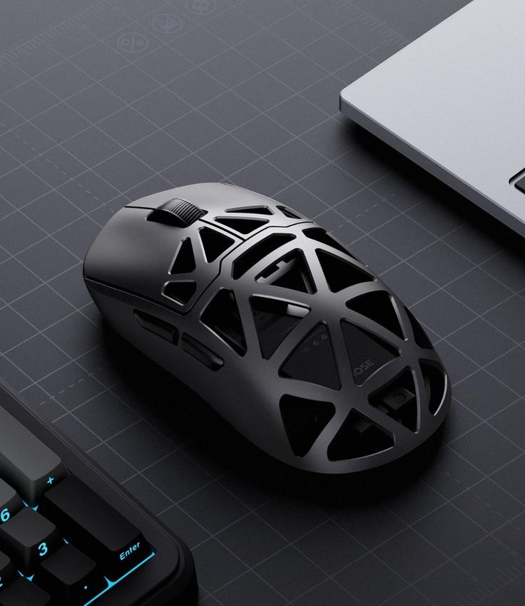Mouse