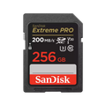 SanDisk SDSDXXD GN4IN 256GB