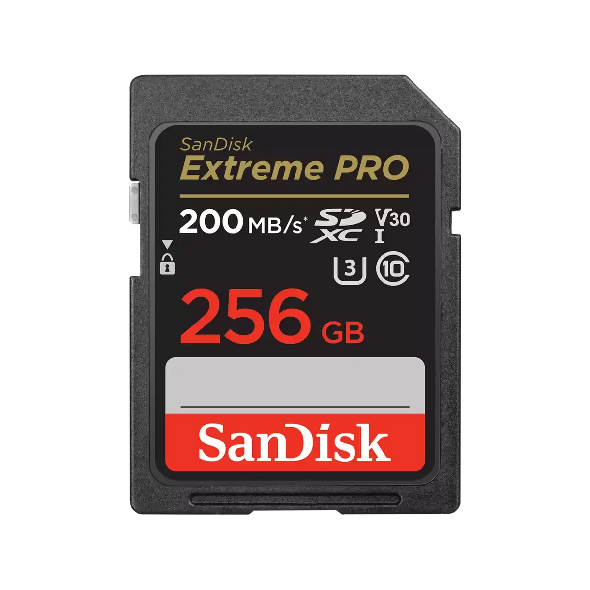 SanDisk SDSDXXD GN4IN 256GB