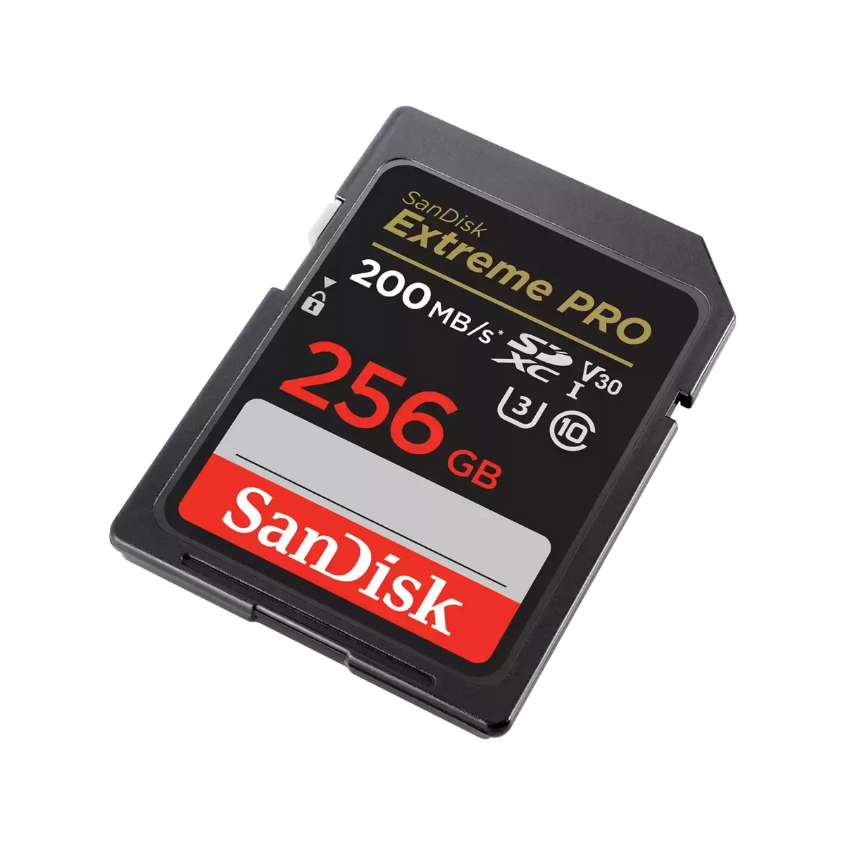 SanDisk SDSDXXD GN4IN 256GB