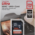 SanDisk SDSDUNR GN3IN 256GB