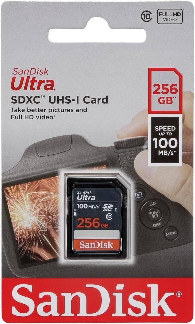 SanDisk SDSDUNR GN3IN 256GB