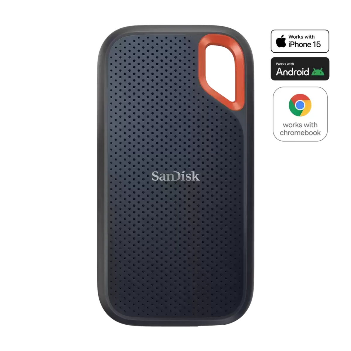 SanDisk SDSSDE61 4TB G25